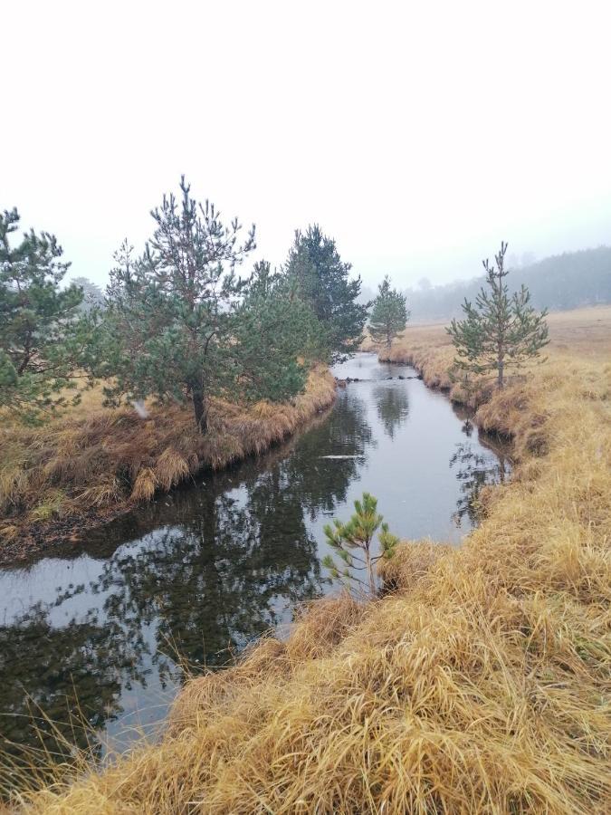 Garac Vikendica *