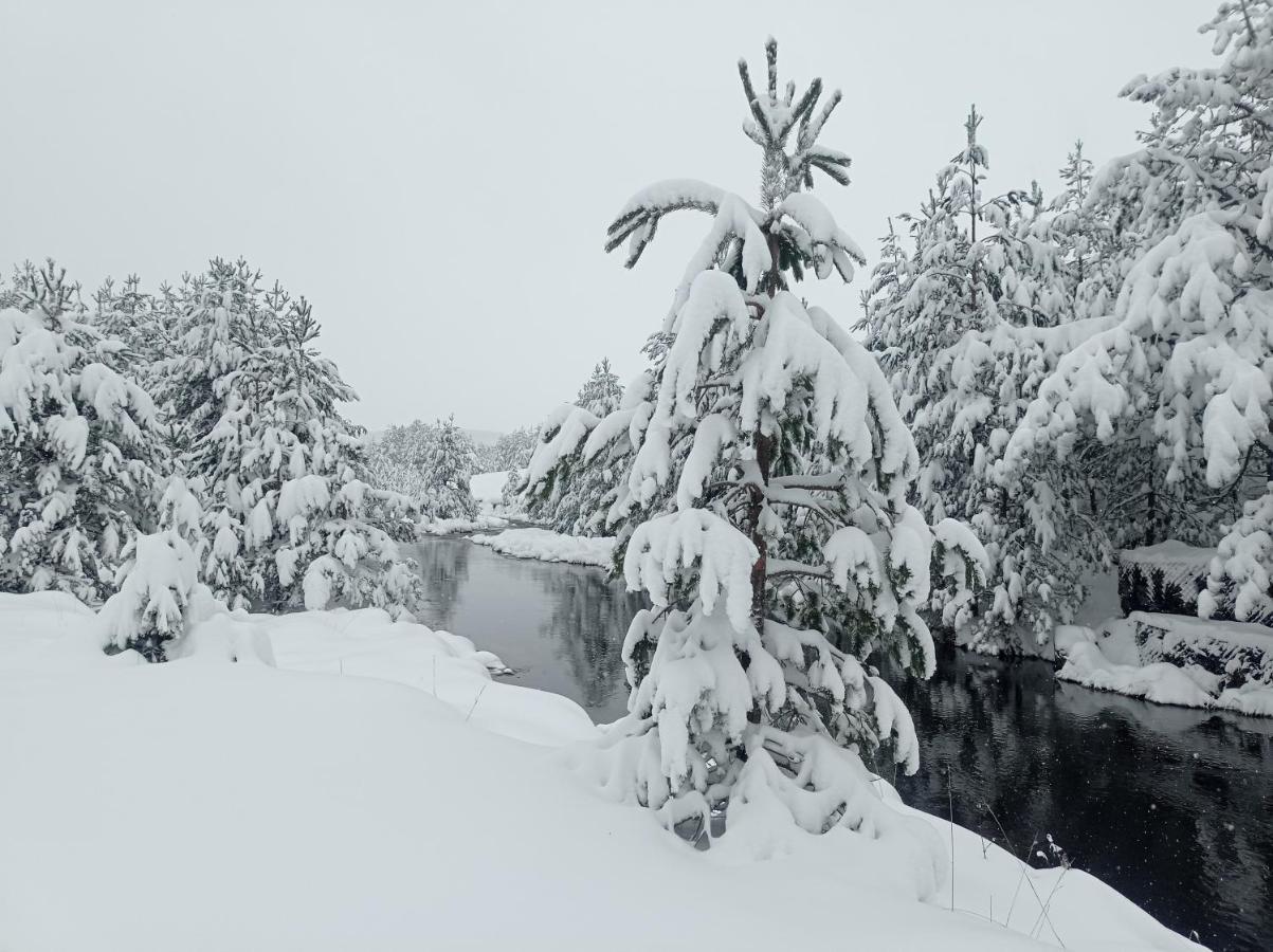Casa vacanze Garac Vikendica Zlatibor