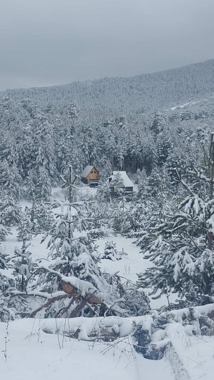 Casa vacanze Garac Vikendica Zlatibor